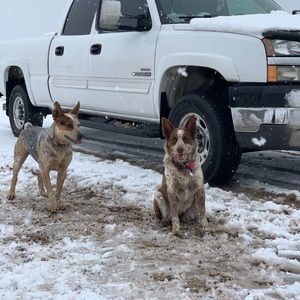 Meet your Posher, Reed